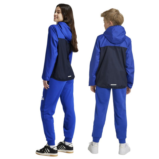 Adidas Παιδικό παντελόνι φόρμας Essentials Big Logo Pants